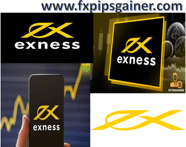 The Complete Guide to Exness FX Trading