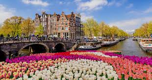Desinformatie Melden in Nederland Hoe en Waarom 387722535